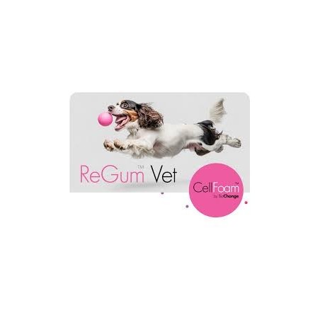 Osteoallograft® Periomix® Canine 0.5cc