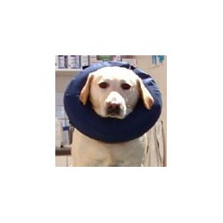 ProCollar Xlarge 18”+ neck