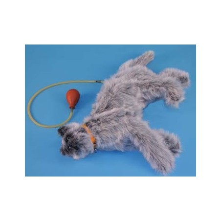 Feline CPR Mannikin