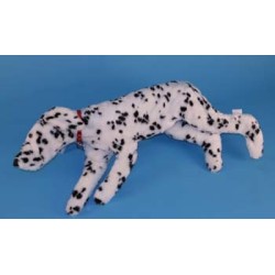 K-9 CPR Mannikin