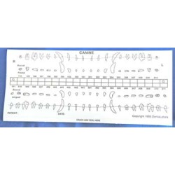 Dental chart stick-on labels - starter Kit. (25 dog | 25 cat)