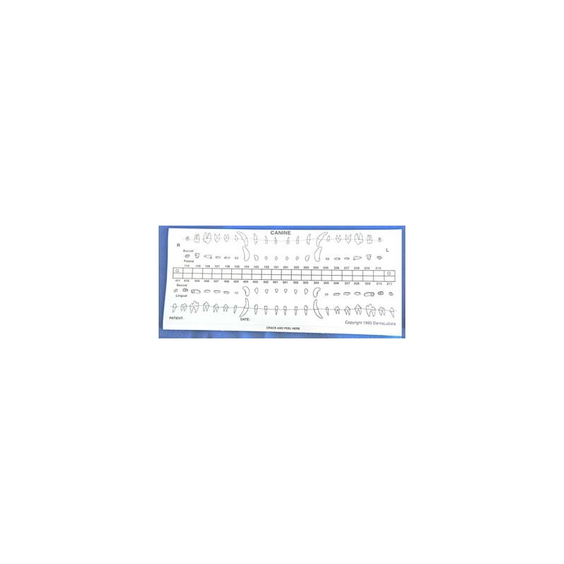 Dental chart stick-on labels - starter Kit. (25 dog | 25 cat)