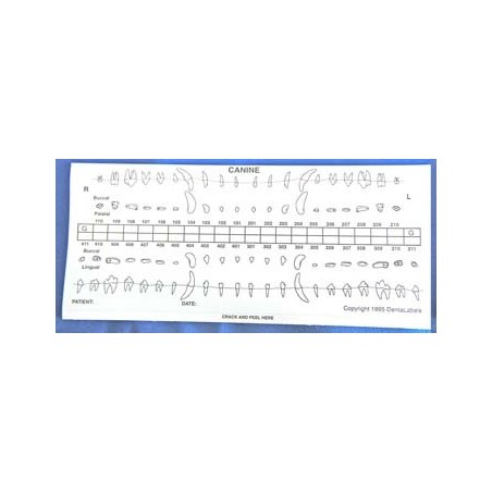 Dental chart stick-on labels - starter Kit. (25 dog | 25 cat)