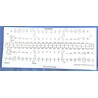 Dental chart stick-on labels - starter Kit. (25 dog | 25 cat)