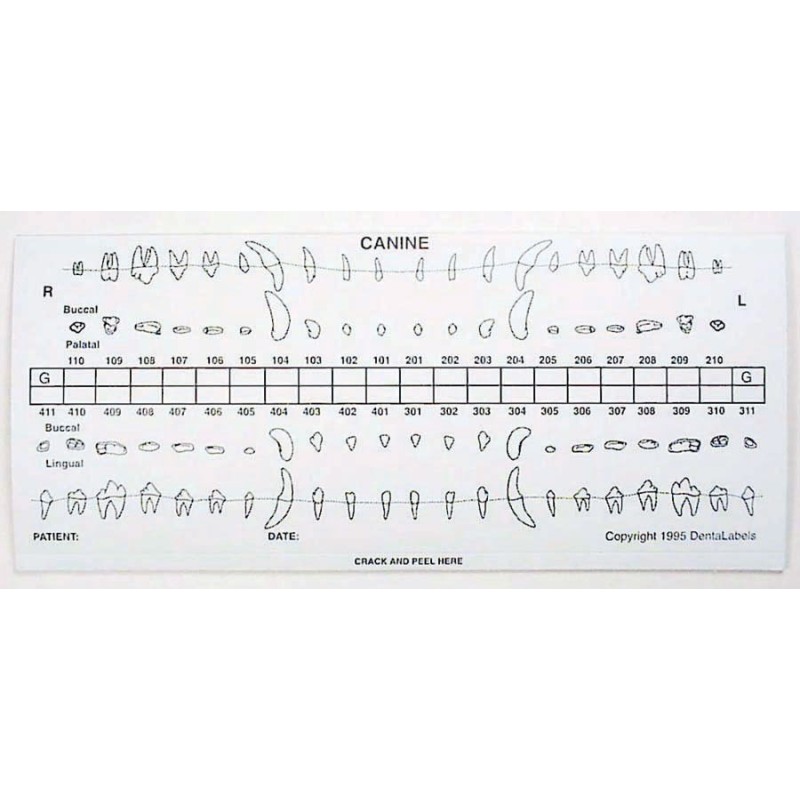 Dental chart stick-on label refills (50 dog)