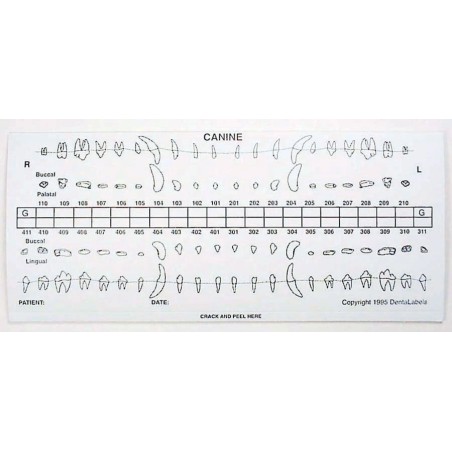 Dental chart stick-on label refills (50 dog)