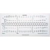 Dental chart stick-on label refills (50 dog)