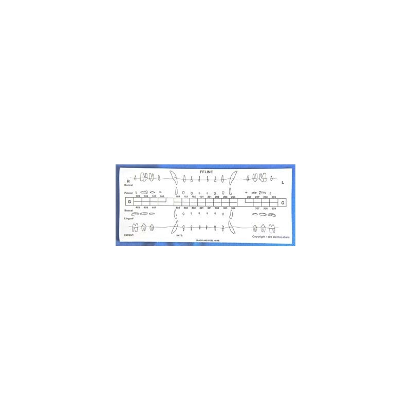 Dental chart stick-on label refills (50 cat)