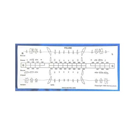 Dental chart stick-on label refills (50 cat)