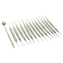 Prophylaxis Kit (canine and feline)