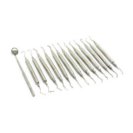 Prophylaxis Kit (canine and feline)