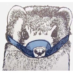 Muzzle - Ferret