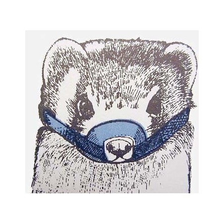 Muzzle - Ferret
