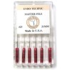 Master File™ 31mm size 30 6/pk