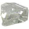 Clear Feline Jaw