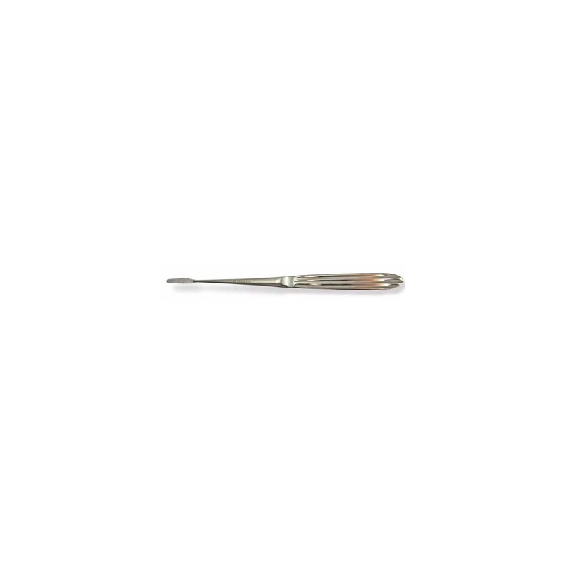 Molar/premolar rasp, small