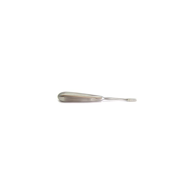 Molar/premolar rasp