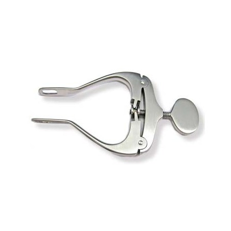 Rabbit/large rodent mouth gag