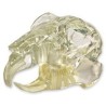 Visi-Model Rabbit Skull