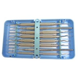 Periodontal Kit - (feline & canine) (blue cassette)