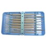 Periodontal Kit - (feline & canine) (blue cassette)