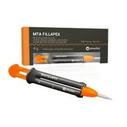 MTA Fillapex Automix Syringe 4gm