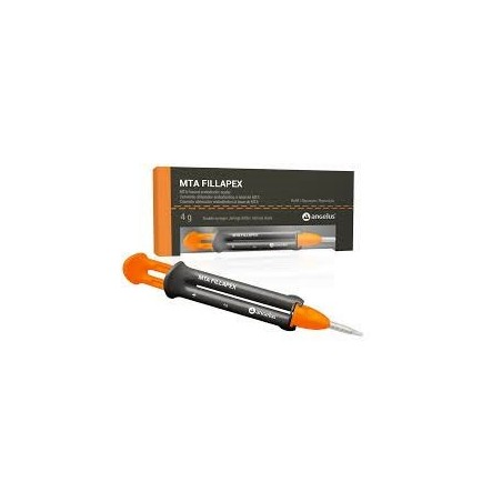 MTA Fillapex Automix Syringe 4gm