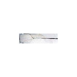 Cat Catcher #2 Telescoping handle