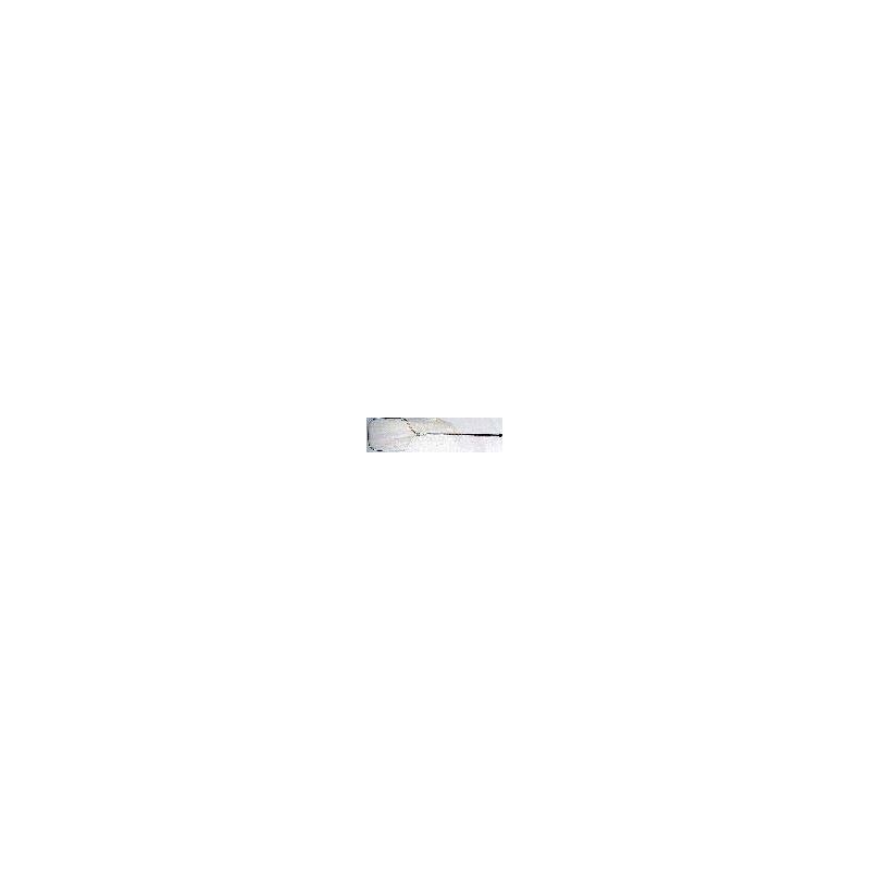 Cat Catcher #2 Telescoping handle