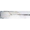 Cat Catcher #2 Telescoping handle