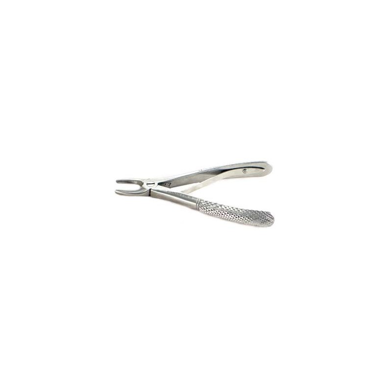 Extraction forceps (small)