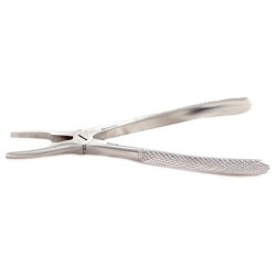 Calculus remover - medium/large (6 1/2-7”)