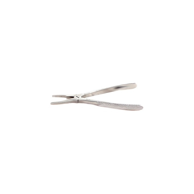 Calculus remover - medium/large (6 1/2-7”)