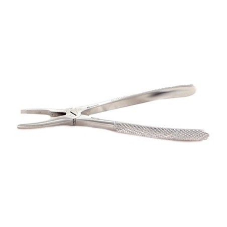 Calculus remover - medium/large (6 1/2-7”)