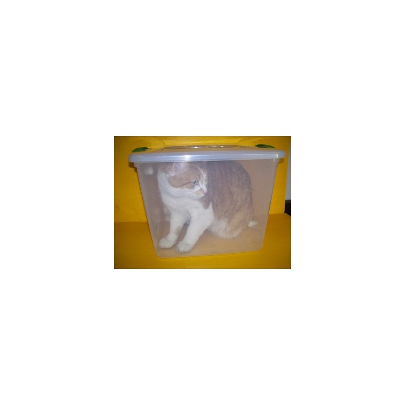Anesthesia induction chamber - small