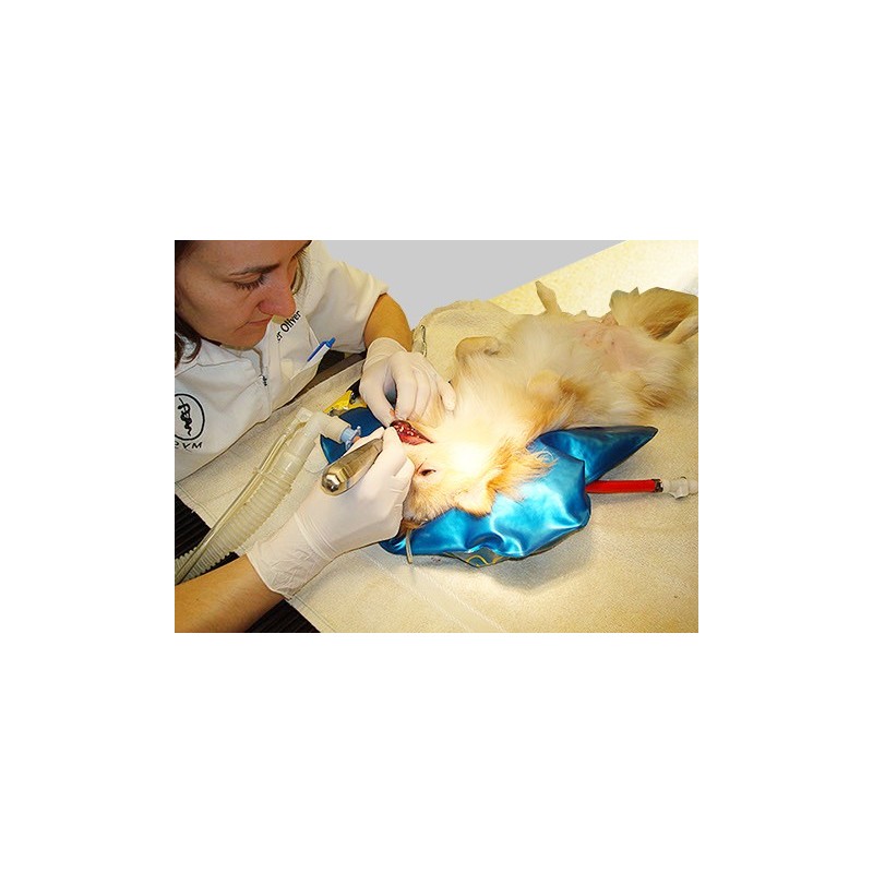 Hug-U-Vac Head Positioner