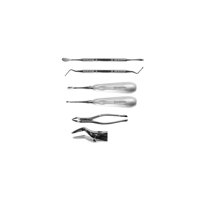 Feline Exodontic Kit