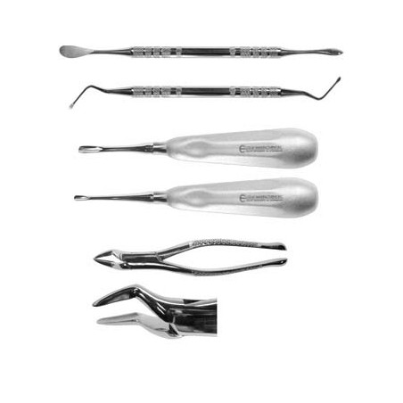 Feline Exodontic Kit
