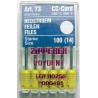 H-Files (31 mm) #100 (6 pk.)