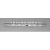 Ruler - endodontic & surgical