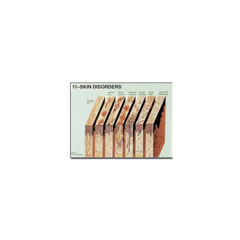 Edupad Skin disorders
