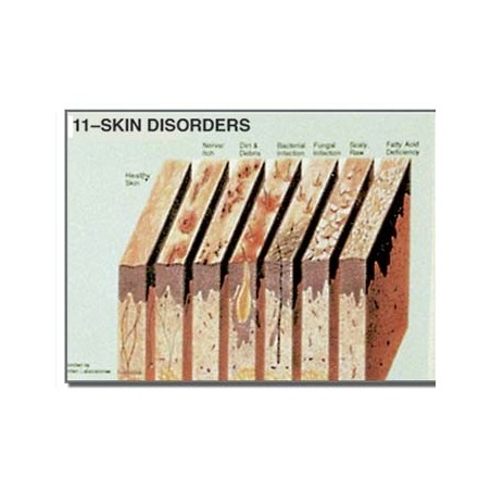 Edupad Skin disorders