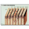 Edupad Skin disorders