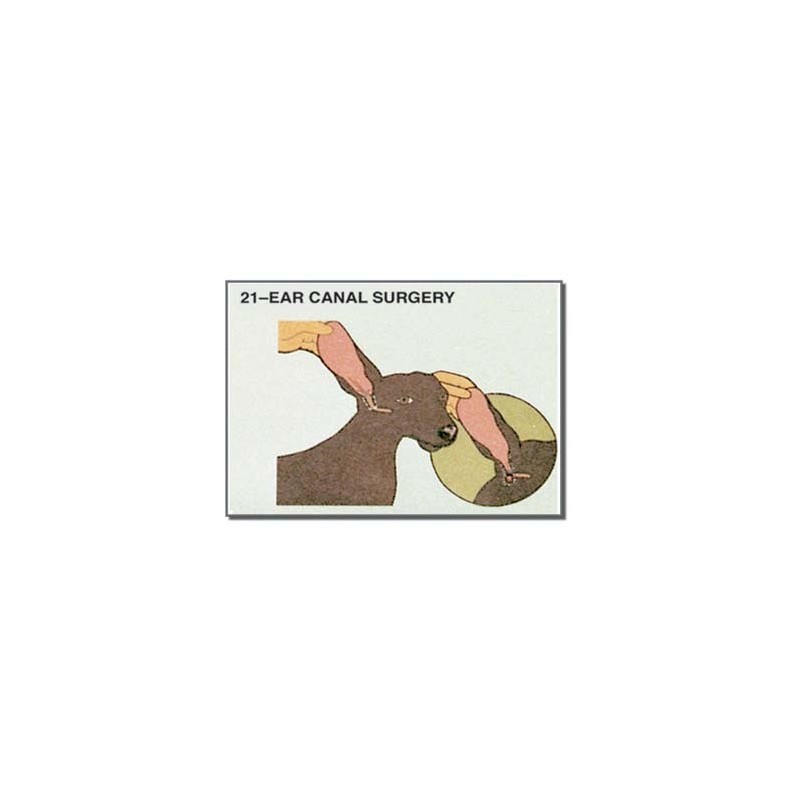Edupad Ear canal surgery