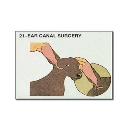 Edupad Ear canal surgery