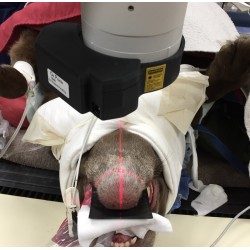 OnPointe X-Ray Laser Guide