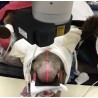 OnPointe X-Ray Laser Guide