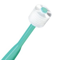 Brush My Teeth Pet Toothbrush Cat