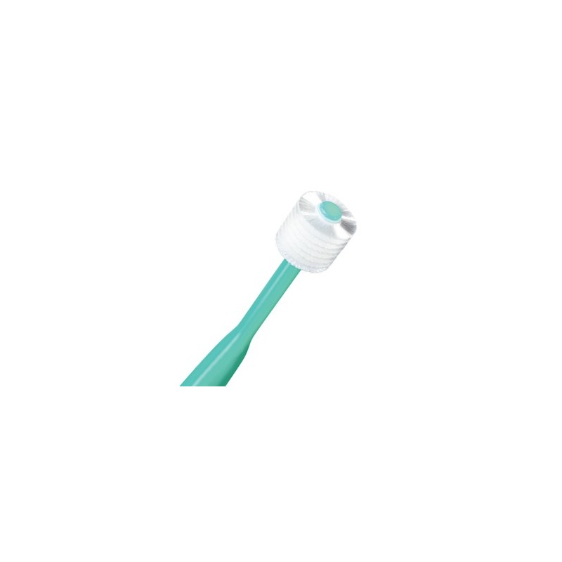 Brush My Teeth Pet Toothbrush Cat