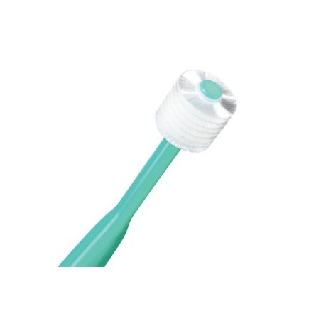 Brush My Teeth Pet Toothbrush Cat